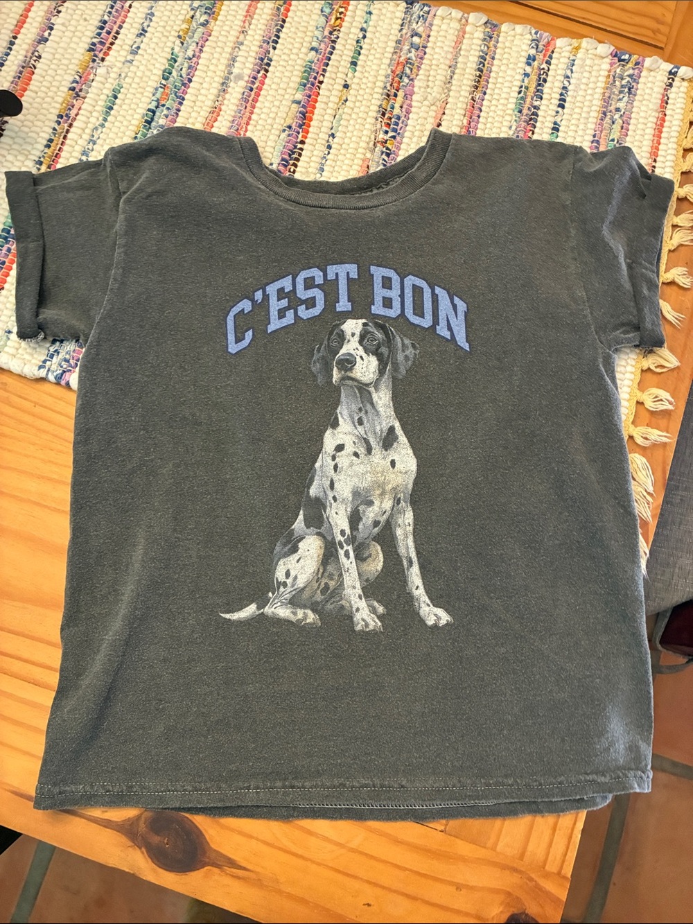Anthropologie Dark Gray Tee with Light Blue Graphic, XS NWT